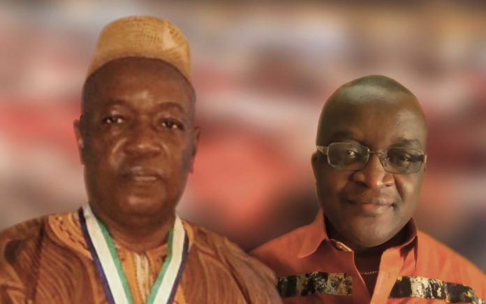 NEWSPAPER - RECOGNIZING PROGRESS IN CRISIS WHAT MALARIA HAS HAS TAUGHT SIERRA LEONE
