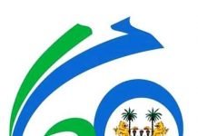 Mama Salone Aging Status: The Way Forward