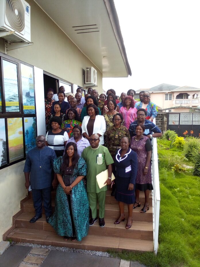 Gender Mainstreaming Workshop for MDAs Ends in Freetown