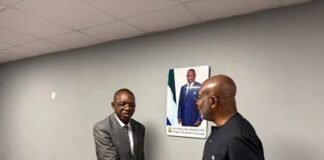 Energy Minister Lauds New EDSA DG—Expresses Optimism image