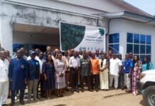 To Strengthen Cross-Border Environmental Conservation… Gola Trans-boundary Landscape Workshop Ends in Kenema image